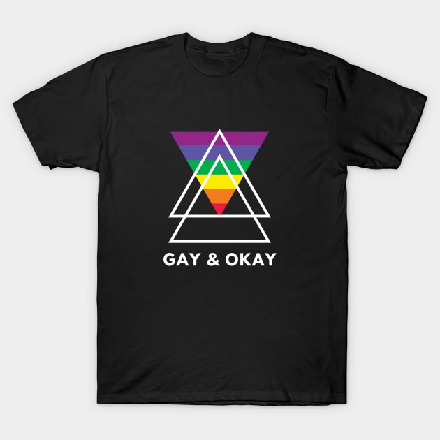 GAY AND OKAY T-Shirt by ScritchDesigns